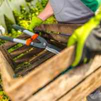 Топ-7 самых распространенных ошибок огородника