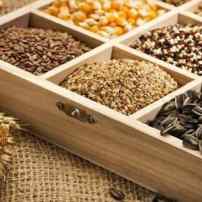 Сорт или гибрид – что нужно знать при выборе семян