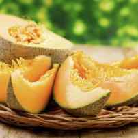 Лучшие сорта дыни для центральной и северной Украины