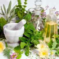 ТОП-7 пряных трав, которые должен посадить каждый