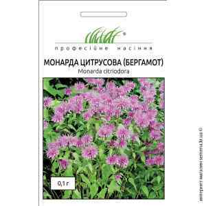 Бергамот Монарда 0.1 г. Бергамот Монарда 0.1 г.