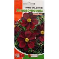 Семена космеи низкорослой Ярко-красная 0.15 г.
