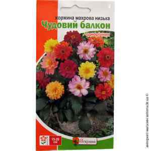 Семена георгины махровой низкорослой Чудесный балкон 0.3 г.