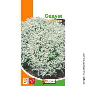 Семена Седума 0.05 г. Семена Седума 0.05 г.