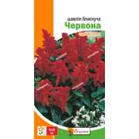 Семена шалфея блестящего Красный 0.2 г.