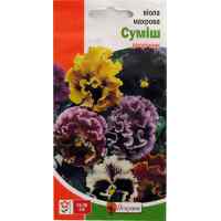 Семена виолы Махровая смесь 0.1 г. Семена виолы Махровая смесь 0.1 г.