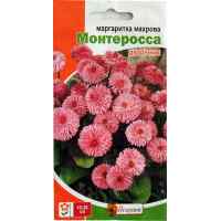 Семена маргаритки махровой Монтеросса 0.1 г.