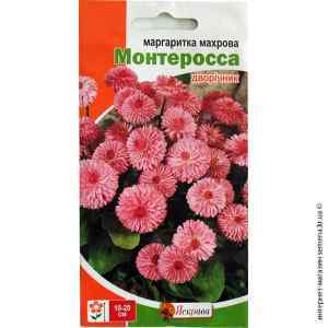 Семена маргаритки махровой Монтеросса 0.1 г. Семена маргаритки махровой Монтеросса 0.1 г.