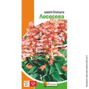 Семена шалфея блестящего Лососевый 0.2 г. Семена шалфея блестящего Лососевый 0.2 г.
