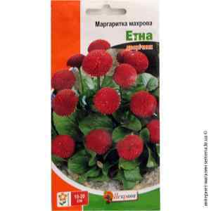 Семена маргаритки махровой Этна 0.1 г. Семена маргаритки махровой Этна 0.1 г.