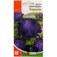 Семена астры пионоподобной Каролин 0.3 г.
