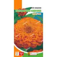 Семена циннии махровой Оранжевая королева 0.5 г.