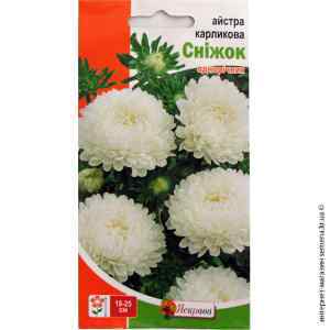 Семена астры карликовой Снежок 0.3 г.