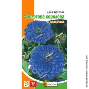 Семена цинии махровой Фиолетовая королева 0.5 г.