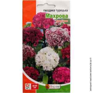Семена гвоздики Турецкая Махровая 0.5 г.