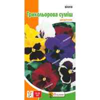 Семена виолы Трехцветная смесь 0.1 г. Семена виолы Трехцветная смесь 0.1 г.