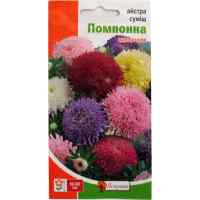 Семена астры Смесь помпонные 0.3 г.