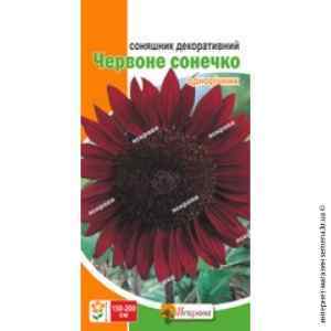 Подсолнух Красное солнышко 1 г. Подсолнух Красное солнышко 1 г.