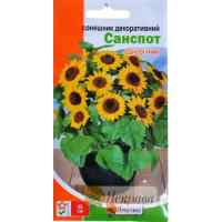 Подсолнух Санспот 2 г.