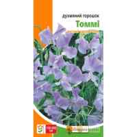 Горошек Душистый Томми 1 г.