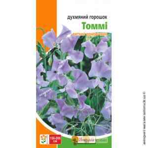 Горошек Душистый Томми 1 г.