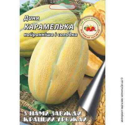 Дыня Карамелька 8 г.