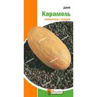 Семена дыни Карамель 2 г. Семена дыни Карамель 2 г.