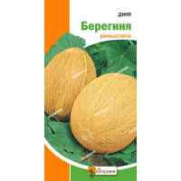 Семена дыни Берегиня 2 г. Семена дыни Берегиня 2 г.