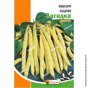 Фасоль кустовая Загадка 20 г. Фасоль кустовая Загадка 20 г.