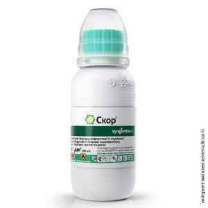 Фунгицид Скор 100 мл. Syngenta Фунгицид Скор 100 мл. Syngenta