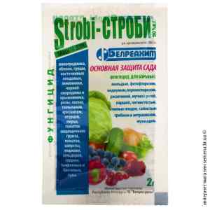 Фунгіцид Строби 2 г.