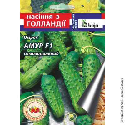 Амур F1 семена огурца 10 шт.