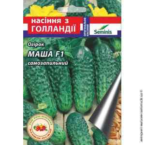 Насіння огірка Маша F1 10 шт.