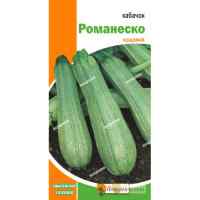 Кабачок Романеско 3 г.