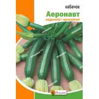 Семена кабачков Аэронавт 20 г.