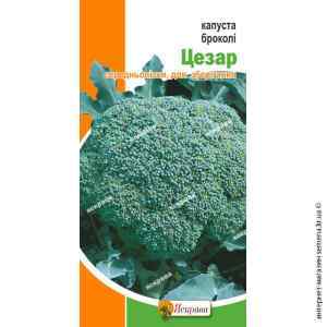 Капуста Брокколи Цезарь 0.5 г. (поздняя) Капуста Брокколи Цезарь 0.5 г. (поздняя)