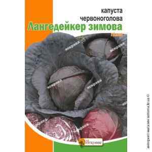 Капуста краснокочанная Лангедейкер 5 г. Капуста краснокочанная Лангедейкер 5 г.