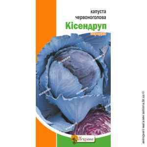 Капуста Кисендруп червонокачанна 0,5 г. Капуста Кисендруп червонокачанна 0,5 г.