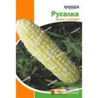Кукуруза сахарная Русалка 20 г.