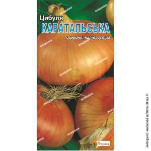 Лук Каратальский 1 г. Лук Каратальский 1 г.