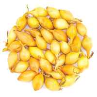 Лук севок Купидо, округло-удлиненный, 8/21 (10кг/міш) Лук севок Купидо, округло-удлиненный, 8/21 (10кг/міш)