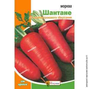 Морква Шантане 3 г.