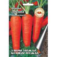 Семена моркови Аленка 10 г. Кращий урожай Семена моркови Аленка 10 г. Кращий урожай