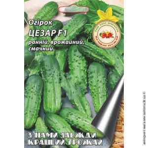 Огурец Цезарь F1 0,5 г. ТМ "Кращий урожай"