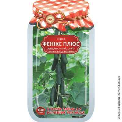 Огірок Фенікс плюс