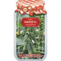 Огурец Кибрия F1 20-30 шт.