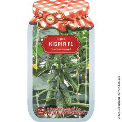 Огурец Кибрия F1 20-30 шт.