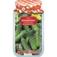 Огурец Конкурент