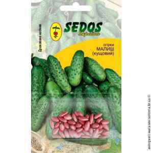 Огурец Малыш ТМ "Sedos"
