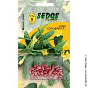 Огірок Хоробрий F1 ТМ "Sedos" Огірок Хоробрий F1 ТМ "Sedos"